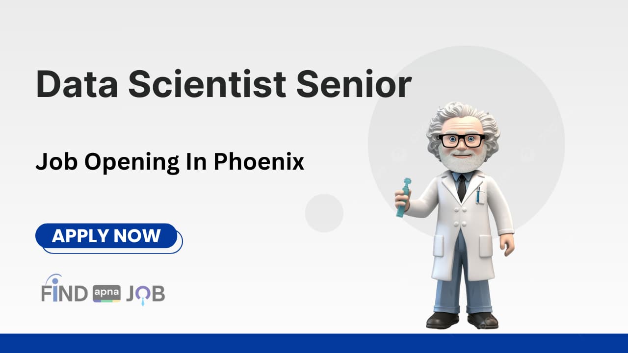 Data Scientist Senior Job
