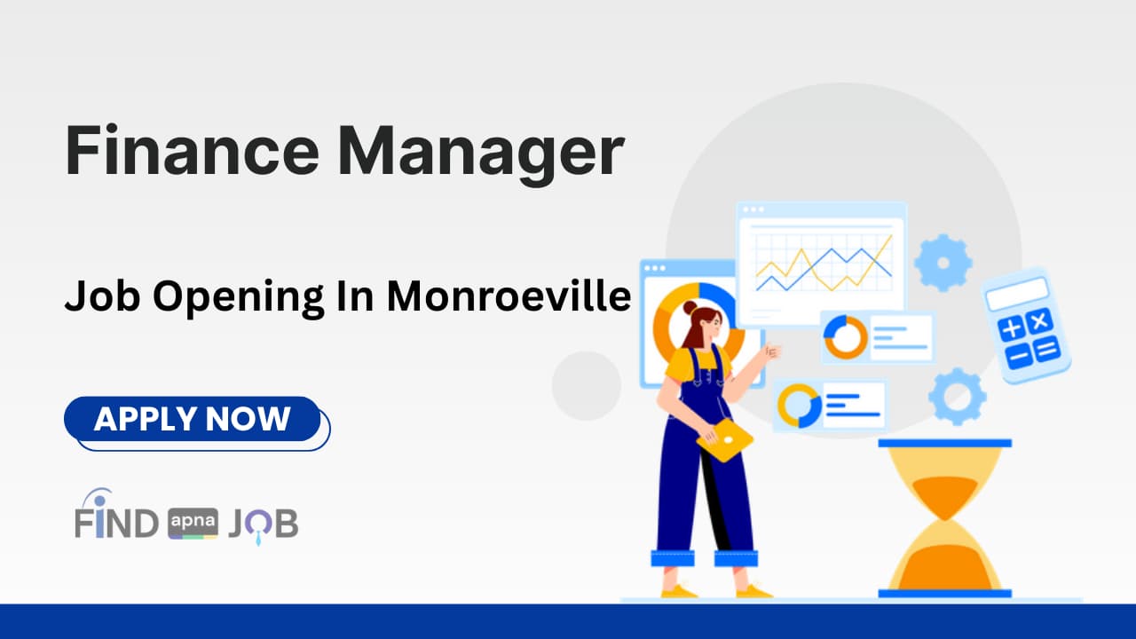 Finance Manager Job