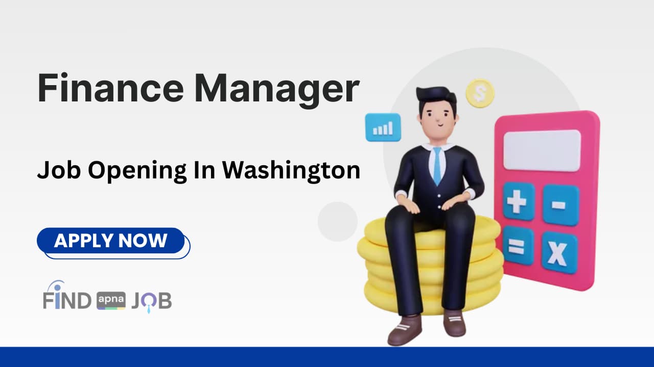 Finance Manager Job