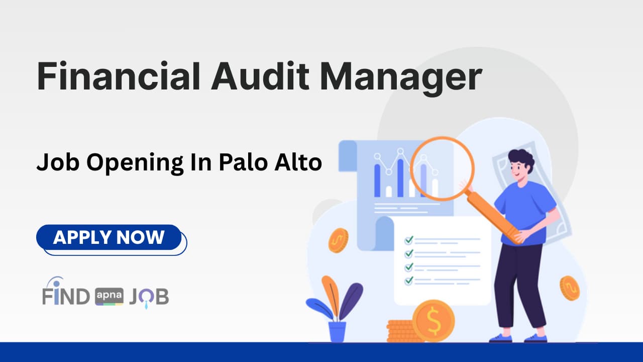 Financial Audit Manager Job