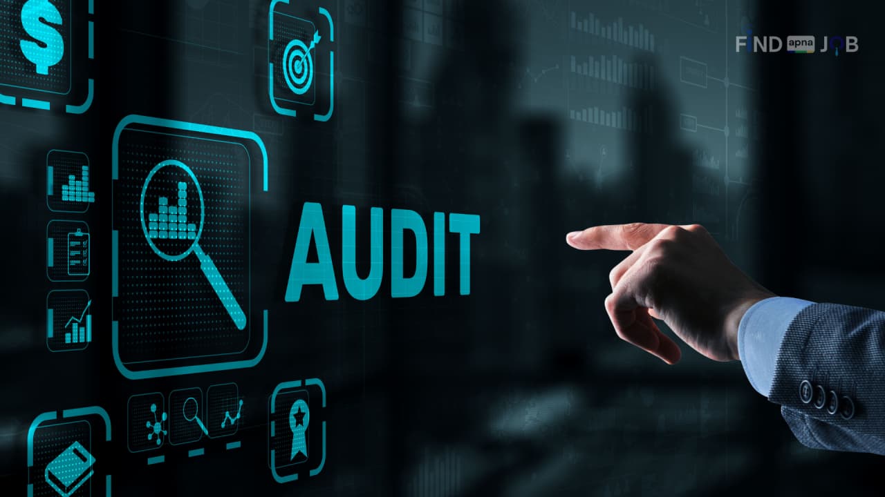 Financial Management Audit Readiness & Internal Controls Senior Consultant Job