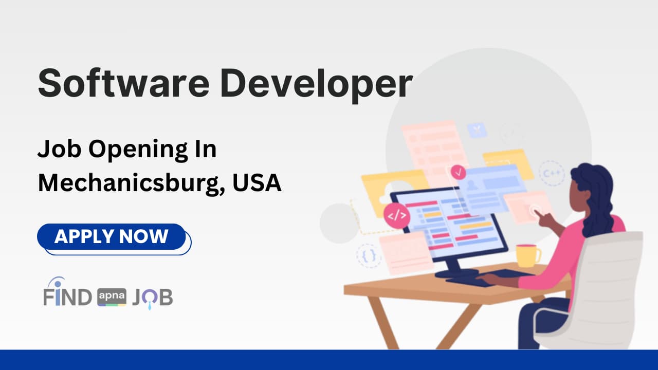 Software Developer Job