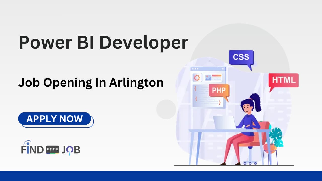 Power BI Developer