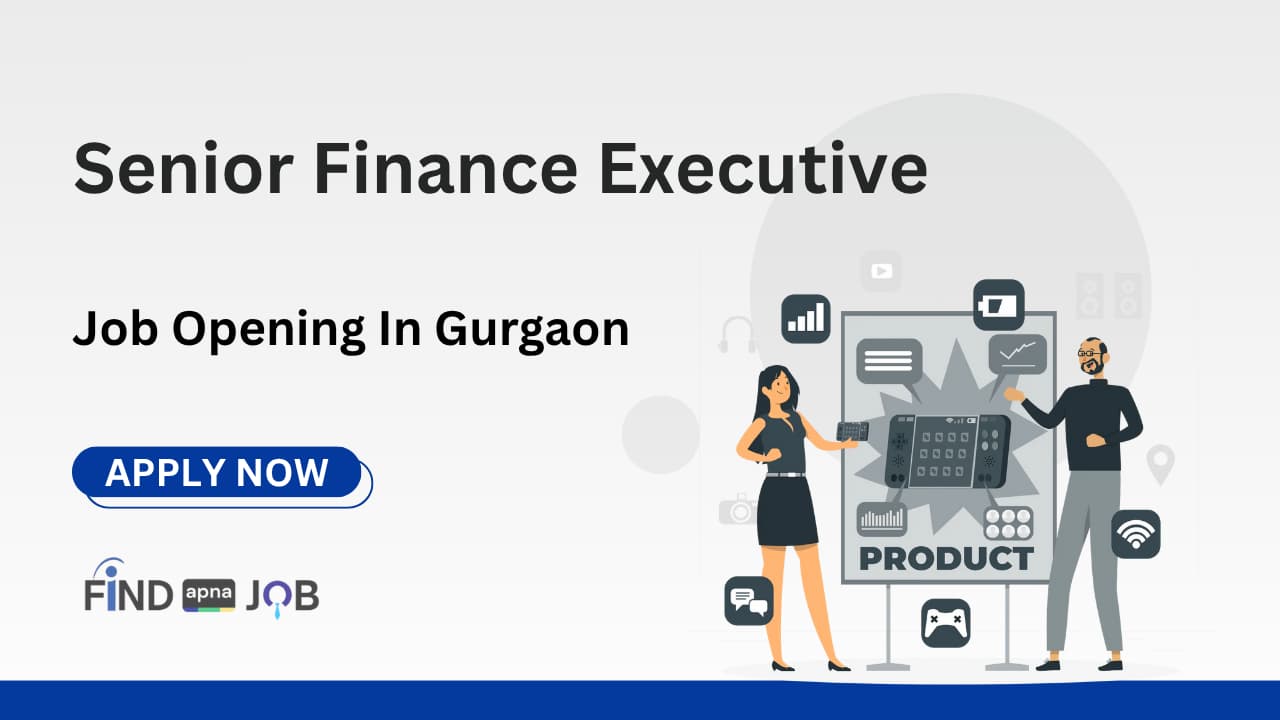Senior Finance Executive