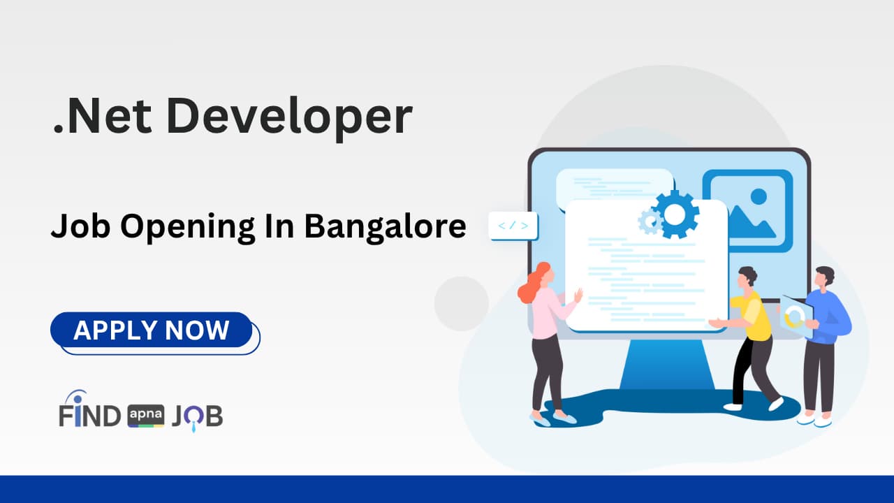 .Net Developer