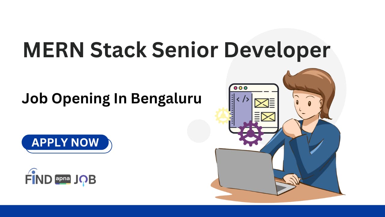 MERN Stack Senior Developer