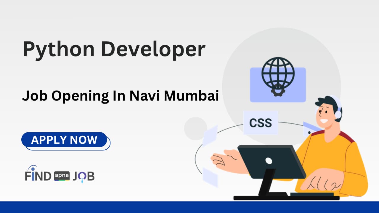 Python Developer