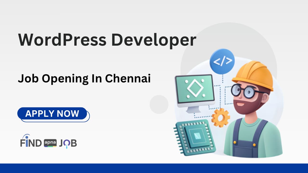 WordPress Developer