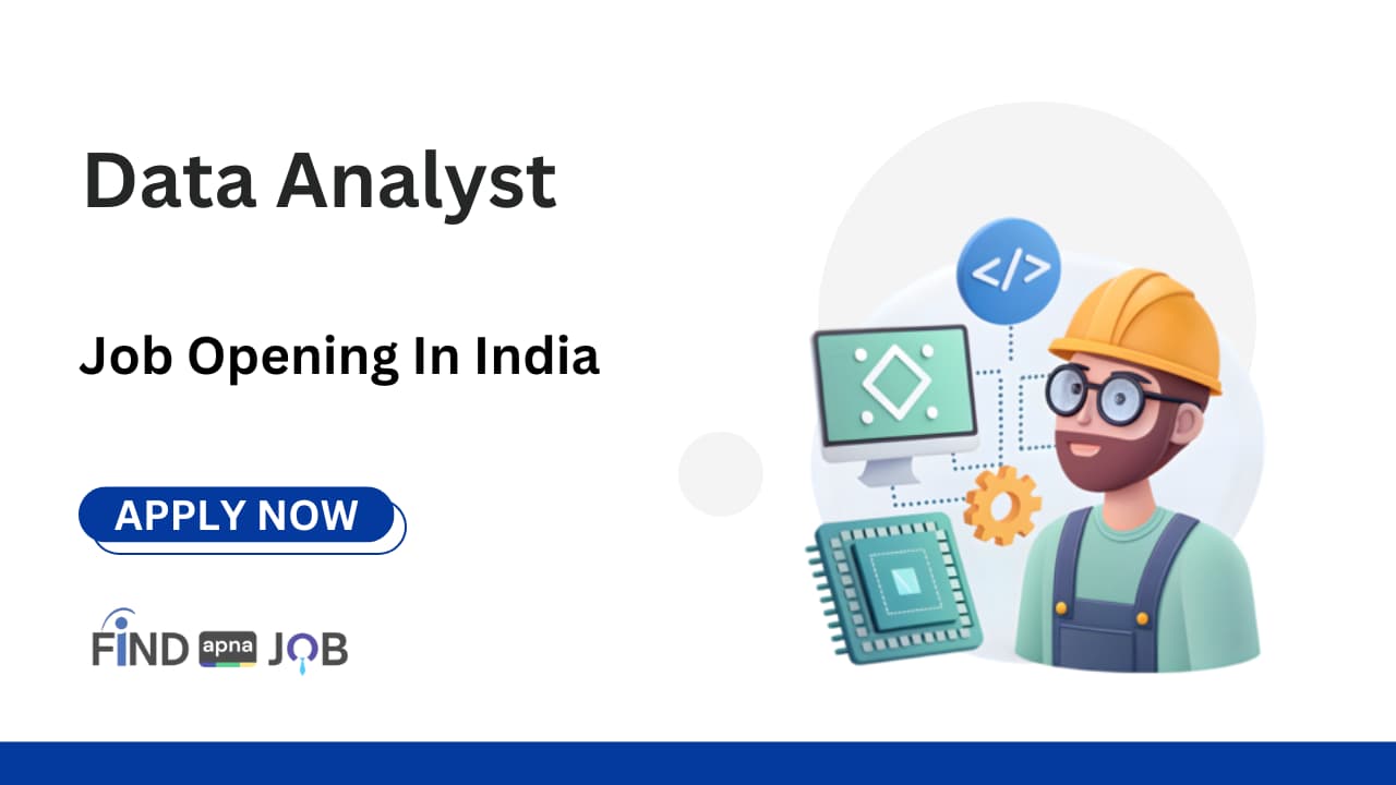 Data Analyst