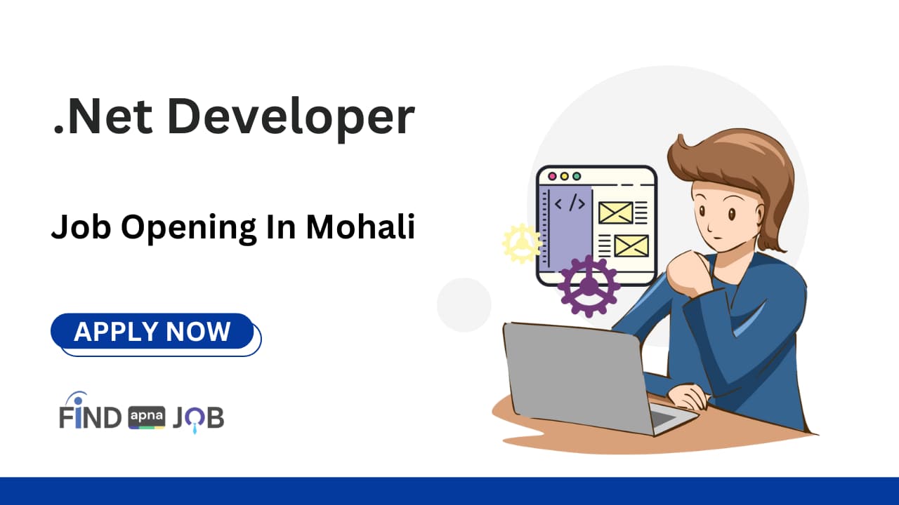 Dot Net Developer