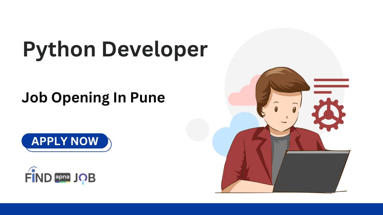 Python Developer
