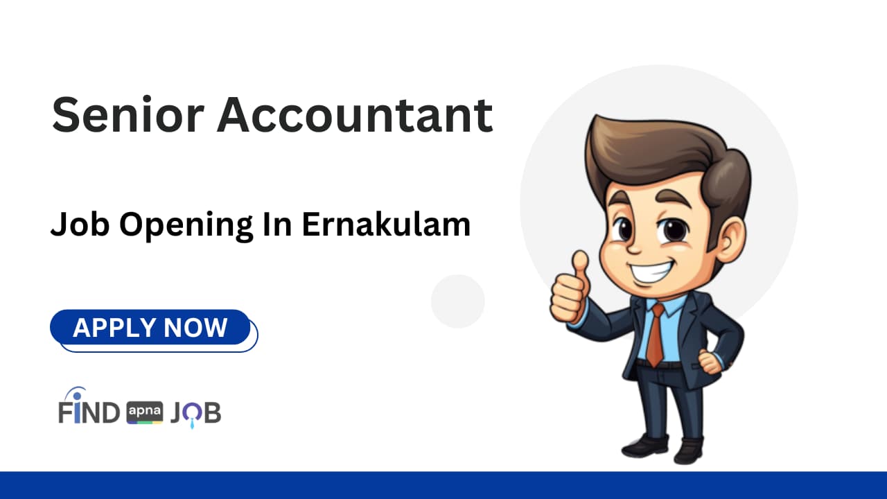 Senior Accountant