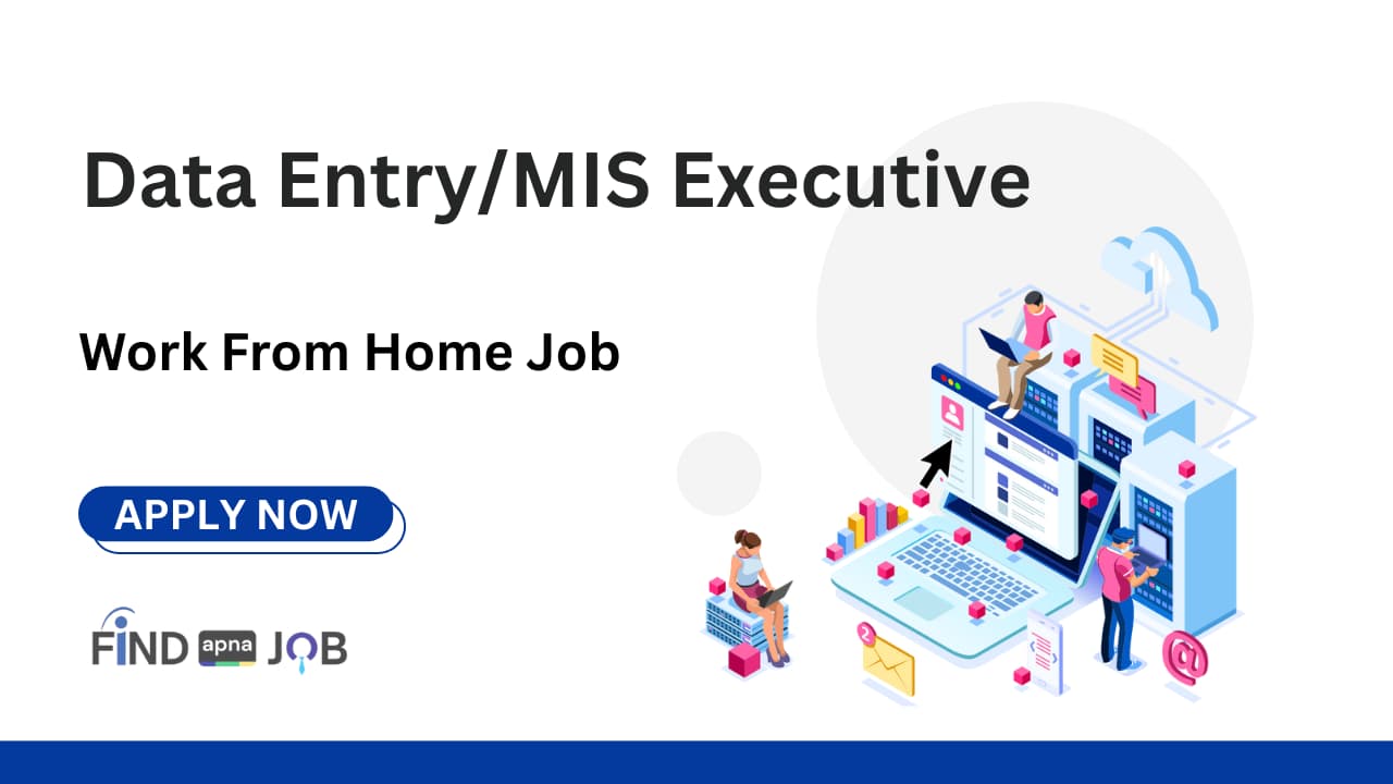 Data Entry/MIS Executive