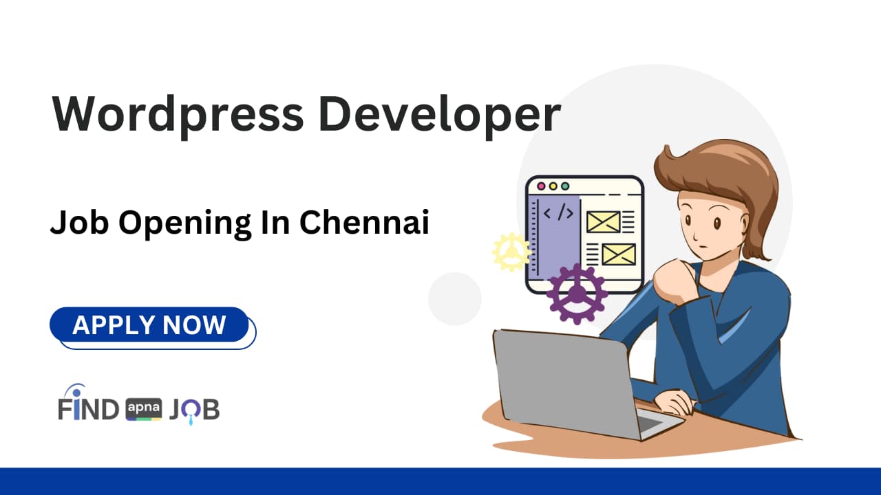 Wordpress Developer