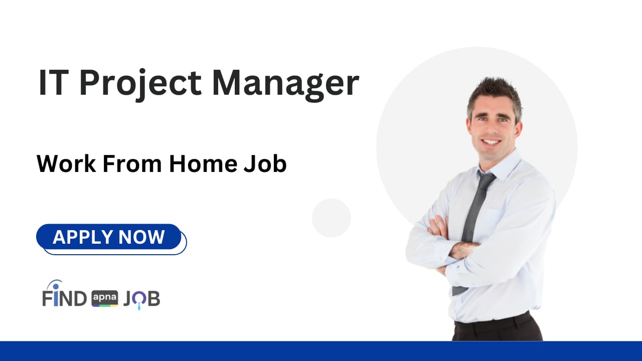 IT Project Manager