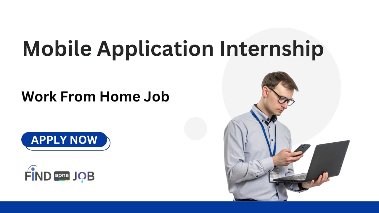 Full Stack Developer Internship