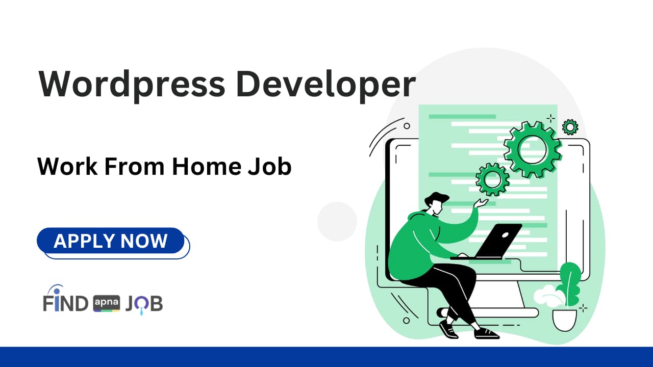 Wordpress Developer